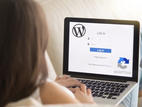 wordpress admin login issue